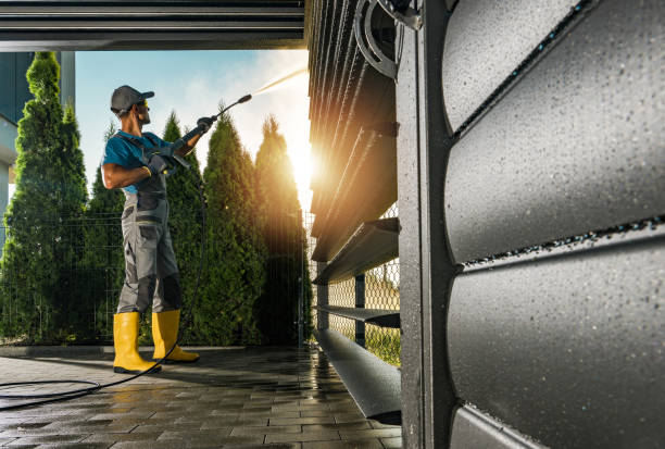Best Roof Washing  in Wendell, NC